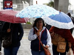 Paraguas hay muchos, pero solamente algunos resisten los fuertes vientos y lluvias de la temporada. EL INFORMADOR / ARCHIVO