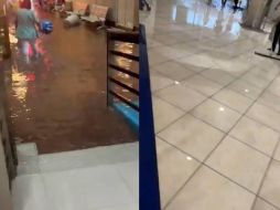 De acuerdo con estaciones de la Red de Monitoreo Atmosférico Peninsular, de la Conagua, cayeron 126 mm de agua. X / @RicardoVerdi123