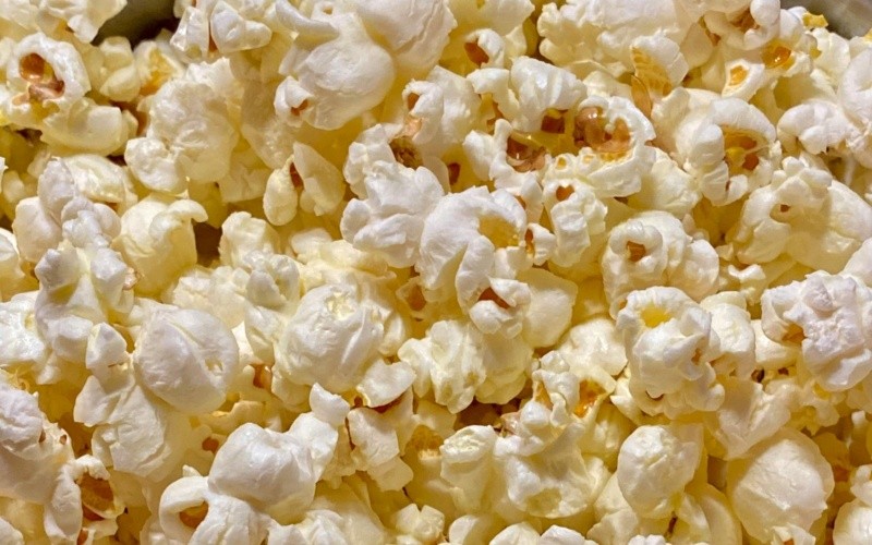  ESPECIAL/Foto de Pylz Works en Unsplash