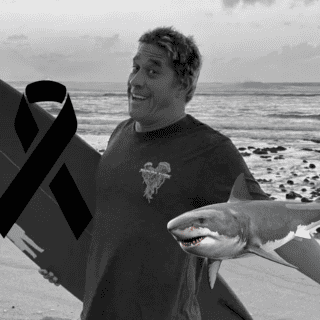 Tamayo Perry ya había alertado sobre infestación de tiburones en Oahu