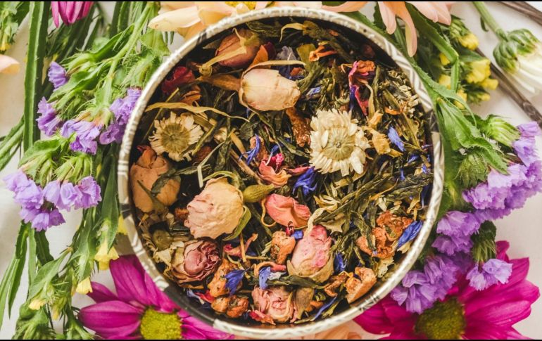 Esta planta cuenta con grandes propiedades medicinales que se recomienda para calmar los ataques de nervios o de ansiedad. Unsplash.