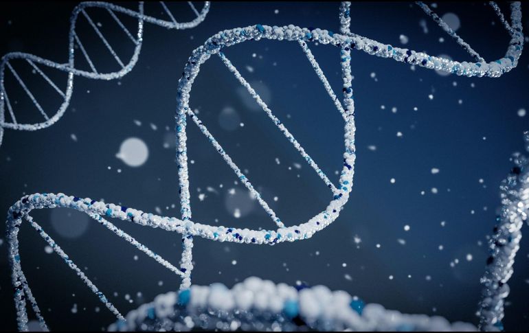 Son necesarias más investigaciones para evaluar si la técnica es viable y segura. UNSPLASH / BRAÑO