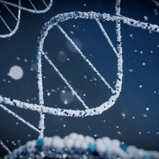 Esta es la nueva técnica de edición genética que promete estar un paso adelante