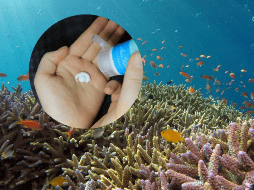 Algunos de los filtros ultravioleta que contienen las cremas tienen efectos negativos. UNSPLASH / H. YOSHII / C. WATSON