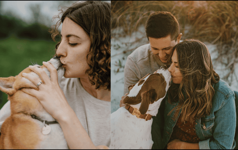 La prevención y el cuidado adecuado son claves para disfrutar de la compañía de nuestras mascotas de manera segura y saludable.  CANVA