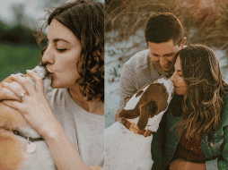 La prevención y el cuidado adecuado son claves para disfrutar de la compañía de nuestras mascotas de manera segura y saludable.  CANVA