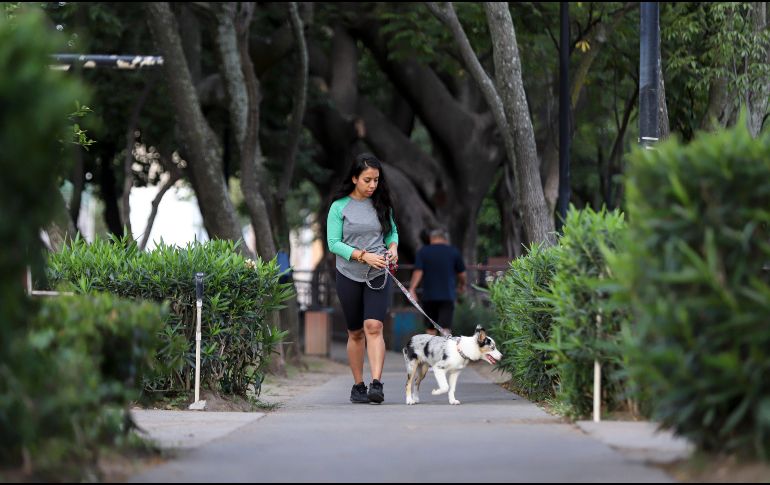 Caminar regularmente ayuda a fortalecer estos músculos, mejorando la postura y reduciendo la carga sobre la espalda. EL INFORMADOR / ARCHIVO
