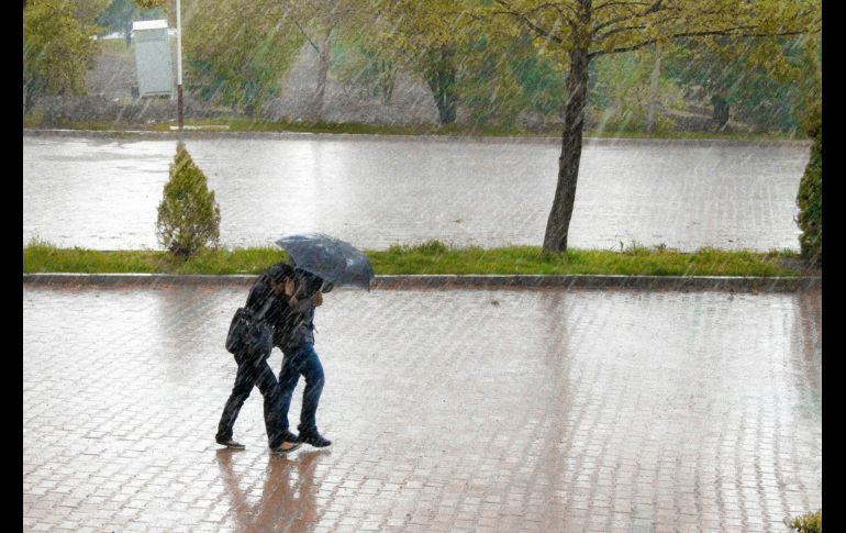 Las autoridades meteorológicas previeron rachas de viento de hasta 70 kilómetros por hora (km/h) y posible formación de torbellinos en Sonora y Chihuahua. Unsplash