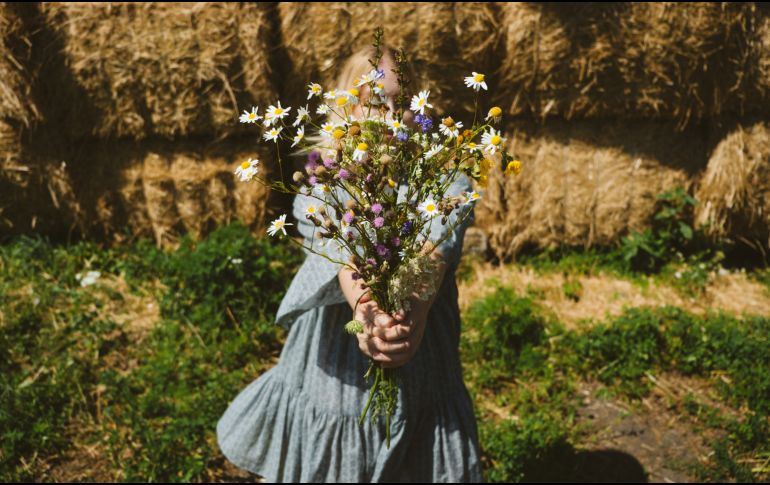 Cottagecore ofrece una invitación a redescubrir la belleza de la simplicidad. GETTY IMAGES ISTOCK