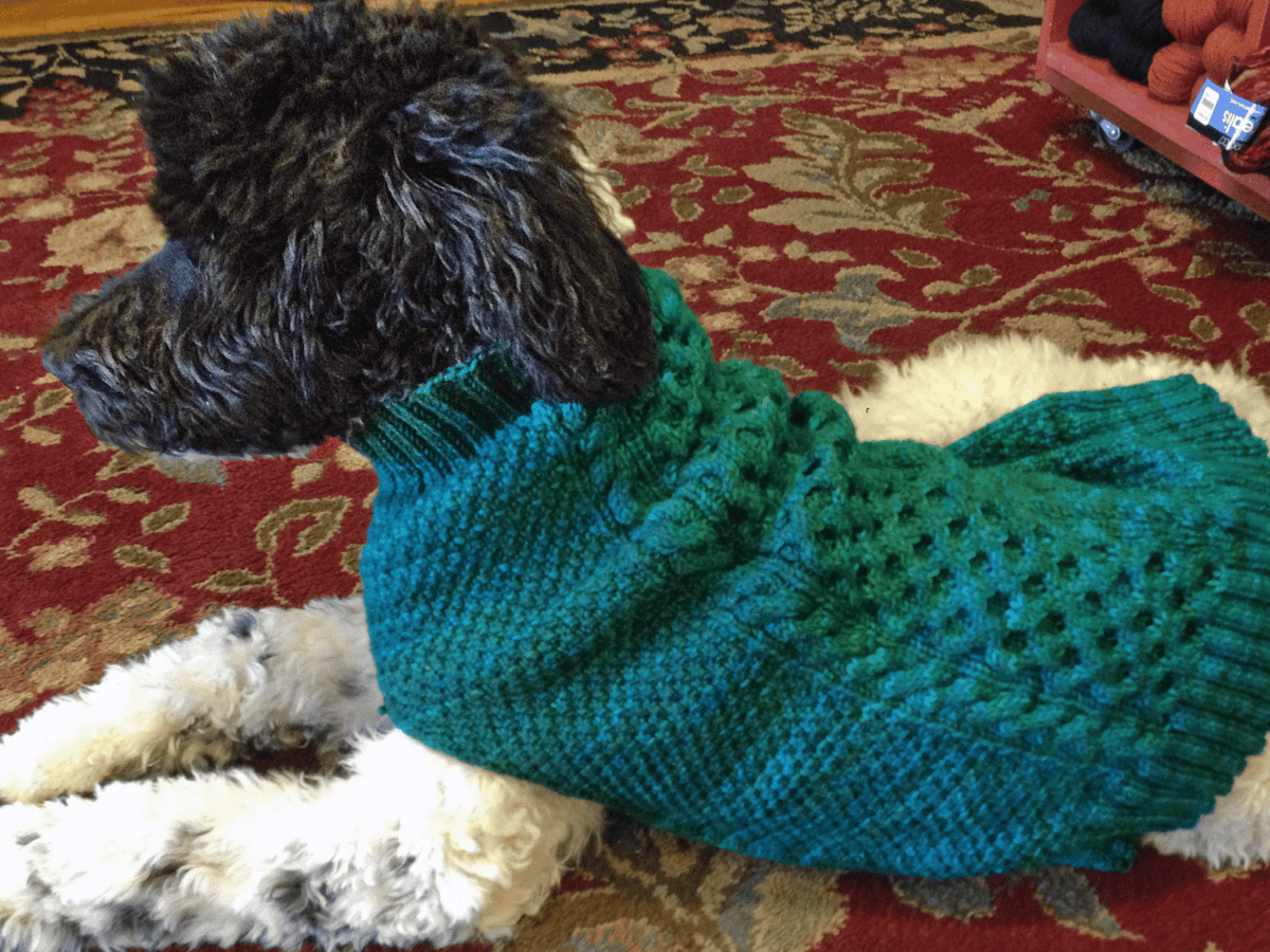 por qué los perros rascan las mantas antes de acostarse