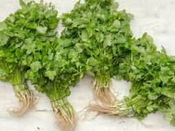 Especialistas atribuyen el aumento del precio del cilantro a varios factores, siendo uno de los principales la sequía que afectó a México antes del inicio de las lluvias. ESPECIAL / Foto de Magdalena Olszewska en Unsplash