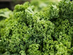 El kale es una excelente fuente de vitaminas C y K, ácido fólico, betacaroteno y luteína. ESPECIAL / Foto de Char Beck en Unsplash