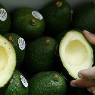 Estados Unidos autoriza fecha para la exportación completa de aguacate michoacano