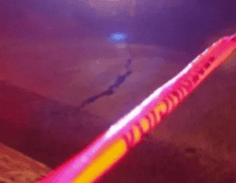 Personal del Ministerio Público abrió una carpeta de investigación por los hechos. EL INFORMADOR/ARCHIVO