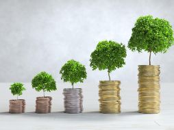 Las mejores herramientas para iniciar en el mundo de las inversiones. CORTESÍA