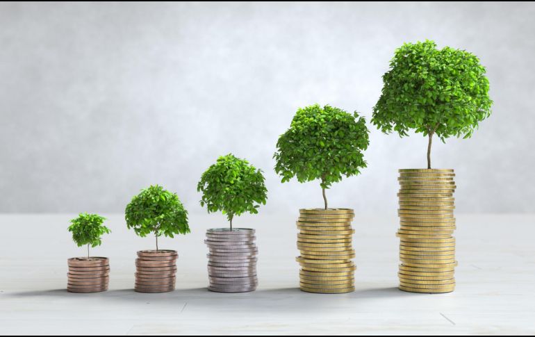 Las mejores herramientas para iniciar en el mundo de las inversiones. CORTESÍA