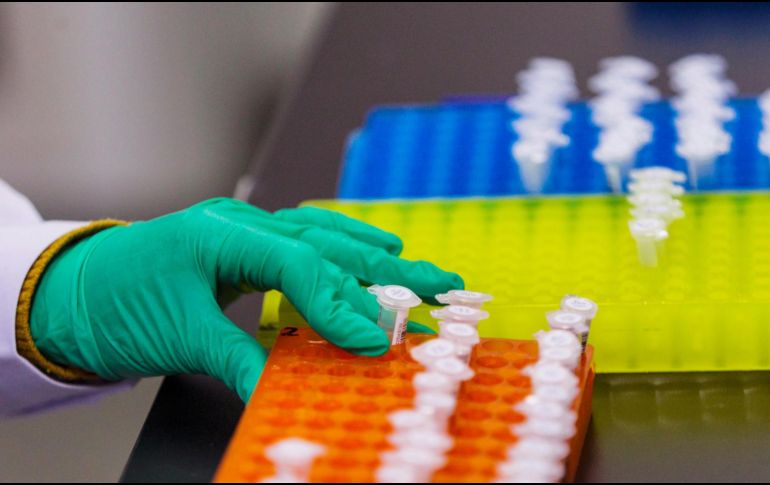 Los científicos también analizaron variantes genéticas raras que tienen muy pocas personas, pero que pueden tener grandes efectos sobre la pubertad. EFE/ ARCHIVO