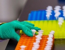 Los científicos también analizaron variantes genéticas raras que tienen muy pocas personas, pero que pueden tener grandes efectos sobre la pubertad. EFE/ ARCHIVO