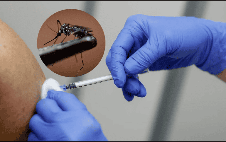 La autorización para comercializar la vacuna en Europa contó con el visto bueno de todos los países miembros de la Unión Europea. EFE / ARCHIVO