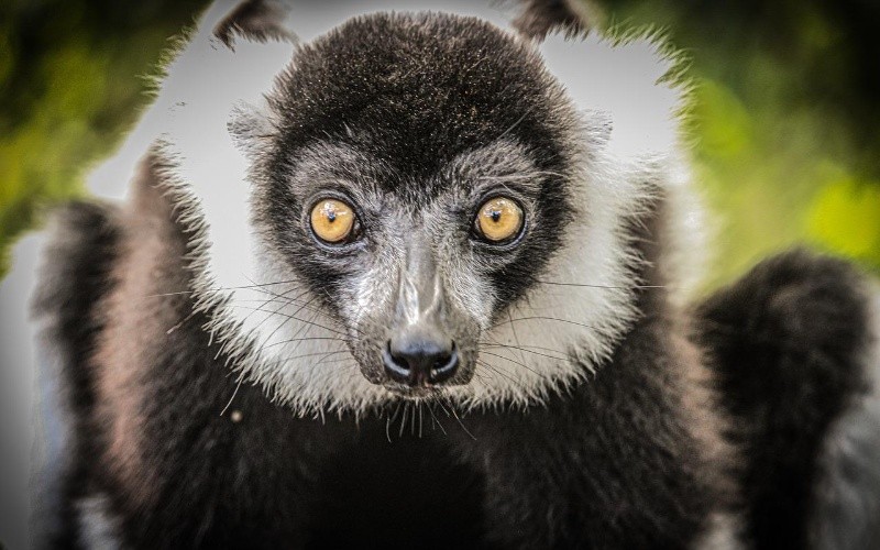 ESPECIAL/Foto de Smilla Svane en Pixabay