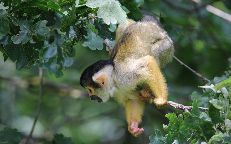 ESPECIAL/Foto de G.C en Pixabay