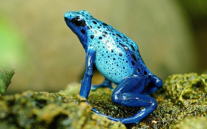 ESPECIAL/Foto de Canva en Pixabay