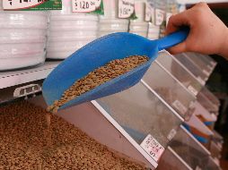 Expertos recomiendan 4 alimentos en específico para reducir el colesterol y la glucosa en la sangre, además de que son muy económicos. EL INFORMADOR / ARCHIVO