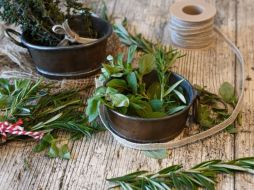 El tomillo tiene propiedades antiespasmódicas y expectorantes que ayudan a aliviar la tos y eliminar la mucosidad bronquial. Pixabay