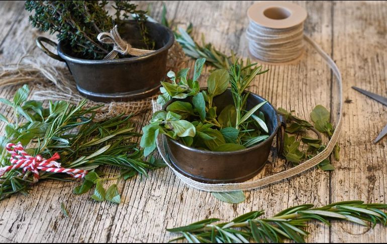 El tomillo tiene propiedades antiespasmódicas y expectorantes que ayudan a aliviar la tos y eliminar la mucosidad bronquial. Pixabay