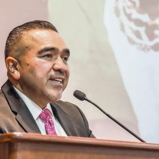 De acuerdo con la reforma, pero con elección escalonada