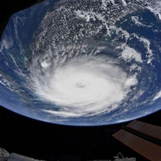 ¿Por qué el huracán "Beryl" es distinto a los demás?