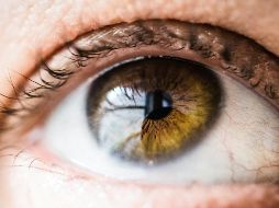 Según la Cofepris, actualmente, el único tratamiento disponible para la ceguera ocasionada por este padecimiento es el trasplante de córnea. UNSPLASH / V. BUMBEERS