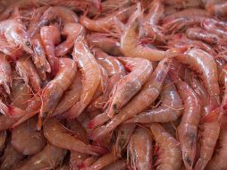 Las vacunas para alergia no tienen indicación para todas las enfermedades de este tipo, por ejemplo, el tratamiento de la alergia a fármacos o alimentos es la eliminación absoluta de estos. NTX / ARCHIVO