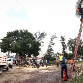 Persisten colonias sin luz tras lluvia del martes