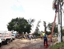La CFE no informó el tiempo estimado en el cual pueda quedar solventadas las afectaciones. EL INFORMADOR/ H. Figueroa