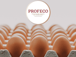 Estos resultados los puedes verificar en la revista del Consumidor. ESPECIAL/CANVA