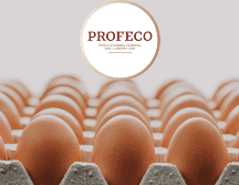 Estos resultados los puedes verificar en la revista del Consumidor. ESPECIAL/CANVA