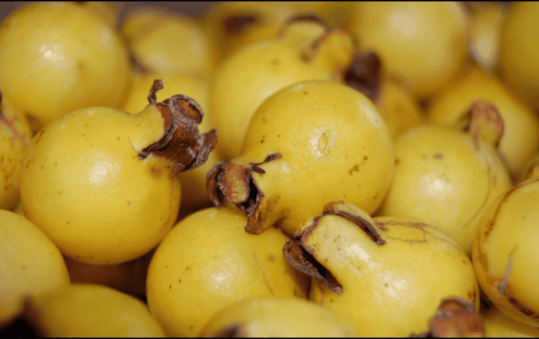 Destaca por ser una fuente excepcional de vitamina C, superando incluso a la naranja. UNSPLASH / C. APPTA
