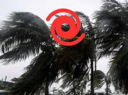 Se ubica aproximadamente a 95 kilómetros al noroeste de Dzilam y a 160 km al estesureste de Progreso, ambas localidades de Yucatán. ESPECIAL / SUN