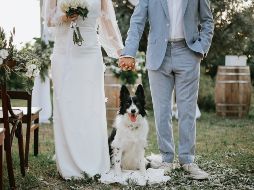 Considera darle a tu mascota un rol en la boda, como portador de anillos, mascota de honor o simplemente un invitado con un atuendo especial. ISTOCK GETTY IMAGES