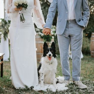 Consejos para incluir a tu mascota el día de tu boda