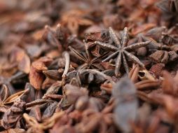 Su pariente cercano, el anís estrellado, también se utiliza en la medicina tradicional para tratar afecciones como el cólico y el reumatismo. ESPECIAL / Foto de yasara hansani en Unsplash