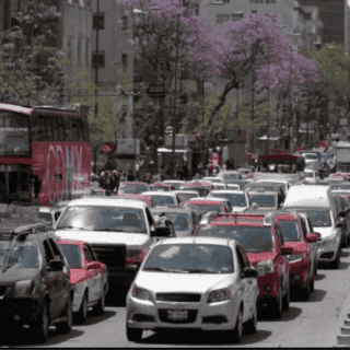 Hoy No Circula sábado 6 de julio: Autos que descansan en CDMX y Edomex