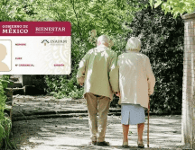 Conoce algunos de los beneficios que ofrece INAPAM este 2024.Unsplash