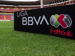 Habrá una pausa en el torneo para darle paso a la Fecha FIFA. IMAGO7