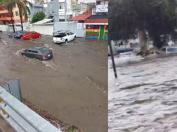 Los reportes de afectaciones y daños en la Zona Metropolitana de Guadalajara (ZMG) continúan, en los que predominan inundaciones en vías públicas y árboles caídos en distintos puntos de la ciudad. ESPECIAL