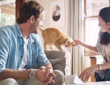 Si ambos son amantes de los animales, es probable que compartan valores similares. GETTY IMAGES ISTOCK