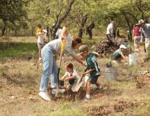 La jornada de reforestación al Bosque de la Primavera en 2024 será en julio y agosto y participarán diversas fundaciones. ESPECIAL