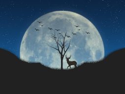 Además de su belleza, la Luna de Ciervo tiene un impacto significativo en diversas culturas y en la ciencia. Pixabay