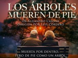 La obra cuenta con las actuaciones de Rosy Puyou, Marco Aurelio Hernández, Rodrigo Caldera, Alejandra Gil, Carolina Obezo y Ana Tapia. FACEBOOK/ @Punto Escénico